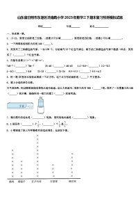 山东省日照市东港区济南路小学2023年数学三下期末复习检测模拟试题含解析