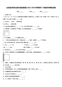 山东省日照市山海天旅游度假区2022-2023学年数学三下期末统考模拟试题含解析