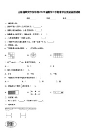 山东省泰安市东平县2023届数学三下期末学业质量监测试题含解析