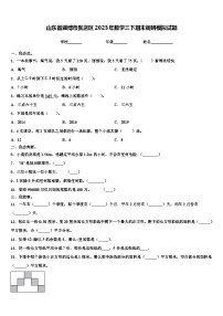 山东省淄博市张店区2023年数学三下期末调研模拟试题含解析