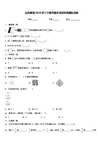 山东聊城2023年三下数学期末质量检测模拟试题含解析