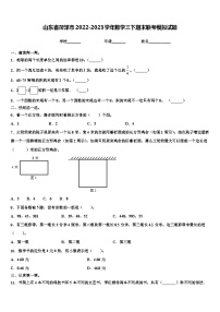 山东省菏泽市2022-2023学年数学三下期末联考模拟试题含解析