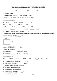 山东省菏泽市成武县2023届三下数学期末质量检测试题含解析