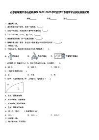 山东省莱阳市赤山初级中学2022-2023学年数学三下期末学业质量监测试题含解析