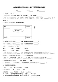 山东省青岛市平度市2023届三下数学期末监测试题含解析