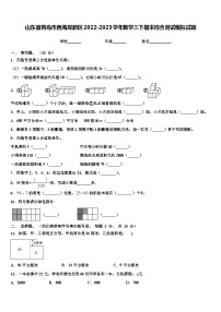 山东省青岛市西海岸新区2022-2023学年数学三下期末综合测试模拟试题含解析