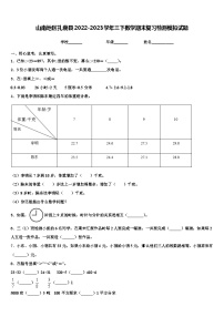 山南地区扎囊县2022-2023学年三下数学期末复习检测模拟试题含解析