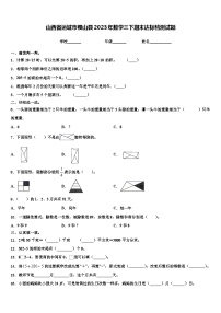 山西省运城市稷山县2023年数学三下期末达标检测试题含解析