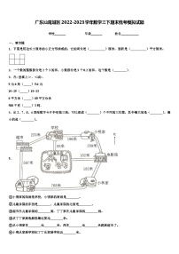 广东汕尾城区2022-2023学年数学三下期末统考模拟试题含解析