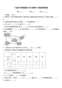 广东省广州市荔湾区2023年数学三下期末联考试题含解析