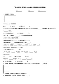 广东省河源市东源县2023届三下数学期末预测试题含解析