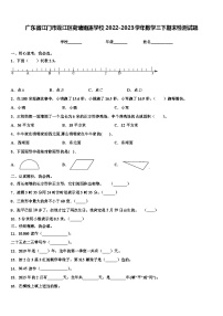 广东省江门市蓬江区荷塘雨露学校2022-2023学年数学三下期末检测试题含解析