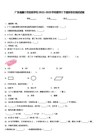 广东省廉江市实验学校2022-2023学年数学三下期末综合测试试题含解析