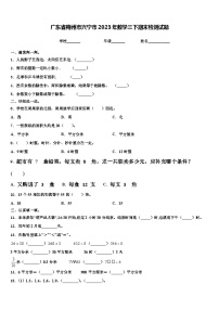 广东省梅州市兴宁市2023年数学三下期末检测试题含解析