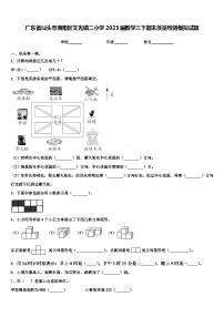 广东省汕头市潮阳区文光镇二小学2023届数学三下期末质量检测模拟试题含解析