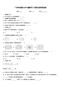 广安市武胜县2023届数学三下期末达标检测试题含解析