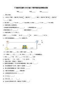 广东韶关乐昌市2023届三下数学期末监测模拟试题含解析