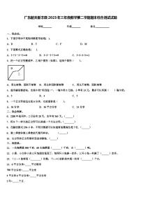 广东韶关新丰县2023年三年级数学第二学期期末综合测试试题含解析