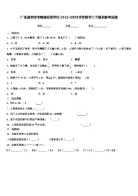 广东省罗定市明德实验学校2022-2023学年数学三下期末联考试题含解析