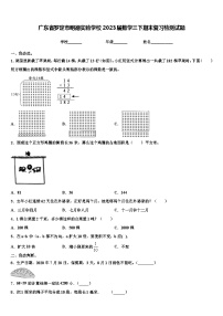 广东省罗定市明德实验学校2023届数学三下期末复习检测试题含解析