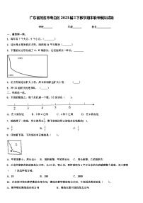 广东省茂名市电白区2023届三下数学期末联考模拟试题含解析