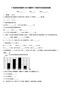 广东省茂名市信宜市2023届数学三下期末学业质量监测试题含解析