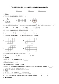 广东省湛江市赤坎区2023届数学三下期末质量跟踪监视试题含解析