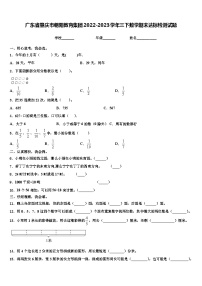 广东省肇庆市朝阳教育集团2022-2023学年三下数学期末达标检测试题含解析