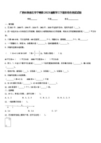 广西壮族崇左市宁明县2023届数学三下期末综合测试试题含解析