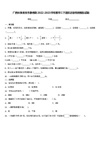 广西壮族来宾市象州县2022-2023学年数学三下期末达标检测模拟试题含解析