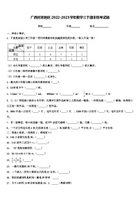 广西河池地区2022-2023学年数学三下期末统考试题含解析