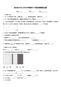 延长县2022-2023学年数学三下期末调研模拟试题含解析