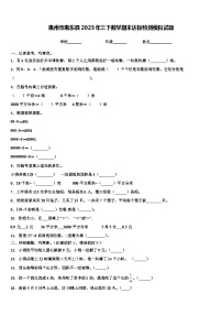 惠州市惠东县2023年三下数学期末达标检测模拟试题含解析