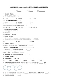 成都市锦江区2022-2023学年数学三下期末综合测试模拟试题含解析