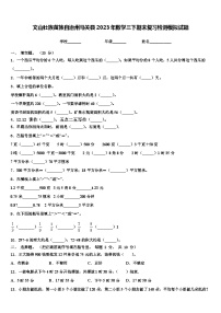 文山壮族苗族自治州马关县2023年数学三下期末复习检测模拟试题含解析