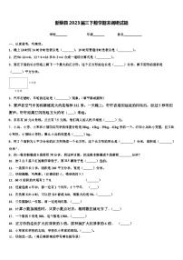 新蔡县2023届三下数学期末调研试题含解析