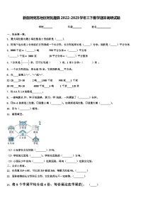 新疆阿克苏地区阿瓦提县2022-2023学年三下数学期末调研试题含解析