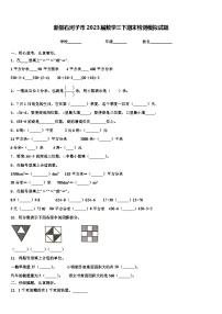 新疆石河子市2023届数学三下期末检测模拟试题含解析