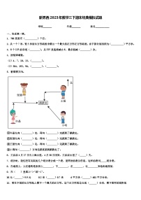 新界西2023年数学三下期末经典模拟试题含解析