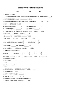 新野县2023年三下数学期末经典试题含解析