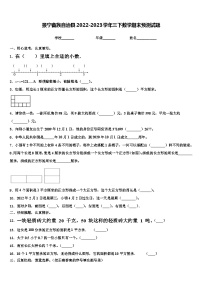 景宁畲族自治县2022-2023学年三下数学期末预测试题含解析