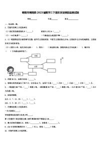 朝阳市朝阳县2023届数学三下期末质量跟踪监视试题含解析