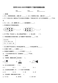 桂平市2022-2023学年数学三下期末检测模拟试题含解析