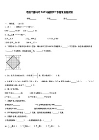 枣庄市滕州市2023届数学三下期末监测试题含解析