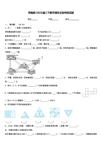 桦南县2023届三下数学期末达标检测试题含解析