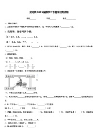 梁河县2023届数学三下期末经典试题含解析