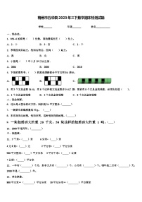 梅州市五华县2023年三下数学期末检测试题含解析