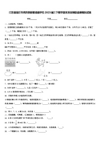 江苏省宿迁市泗洪县新星城南学校2023届三下数学期末质量跟踪监视模拟试题含解析