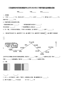 江苏省淮安市洪泽区黄集中心小学2023年三下数学期末监测模拟试题含解析