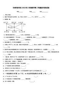 沧州市新华区2023年三年级数学第二学期期末检测试题含解析